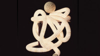 Boalum